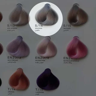 رنگ مو ENZO S/14 دلفینی حجم 100 میلی لیتر