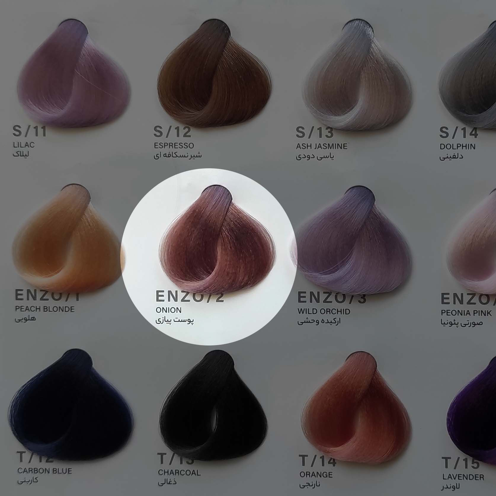 رنگ مو پوست پیازی ENZO.2  | رنگی طبیعی و زیبا