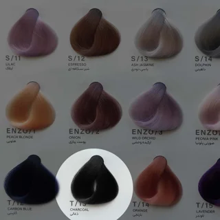 رنگ مو ذغالی ENZO T13 | رنگی مدرن و خاص