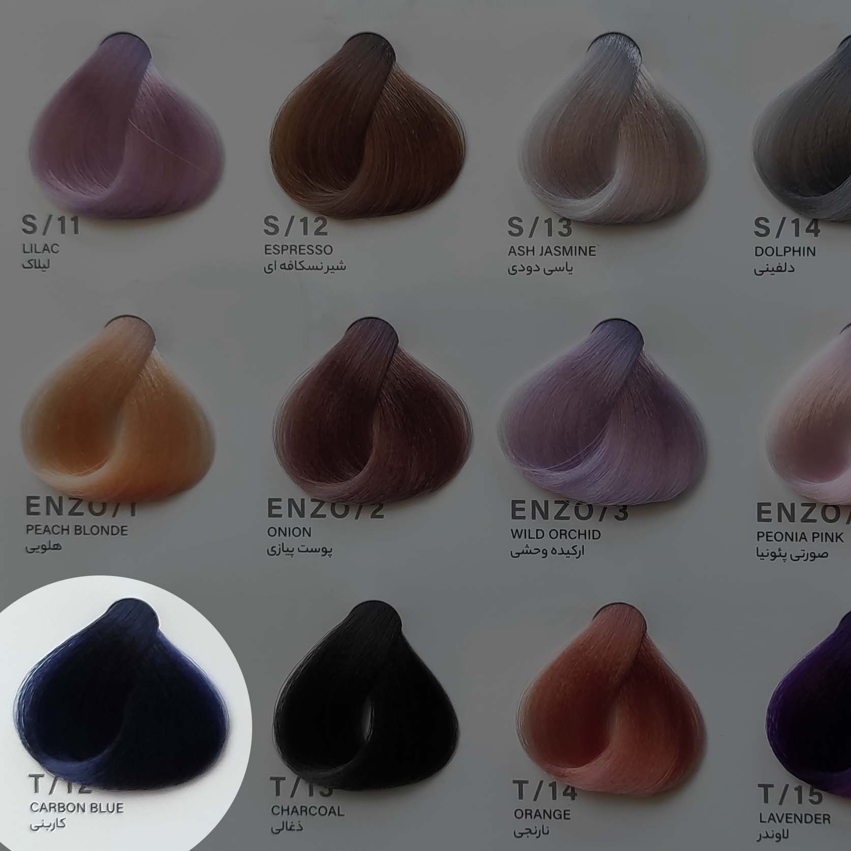 رنگ مو کاربنی ENZO T12 | رنگی تیره و شیک